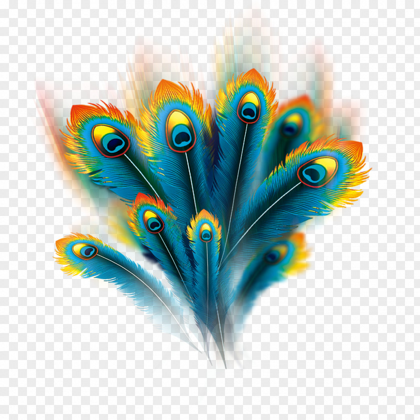 Wispy Peacock Feathers Feather Peafowl Computer File PNG