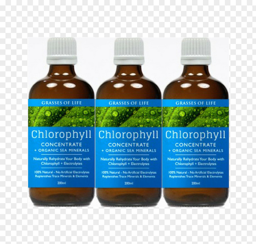 Aloe Vera Cosmetics Australia Sport Electrolyte Grasses Of Life Chlorophyll Hydrate PNG