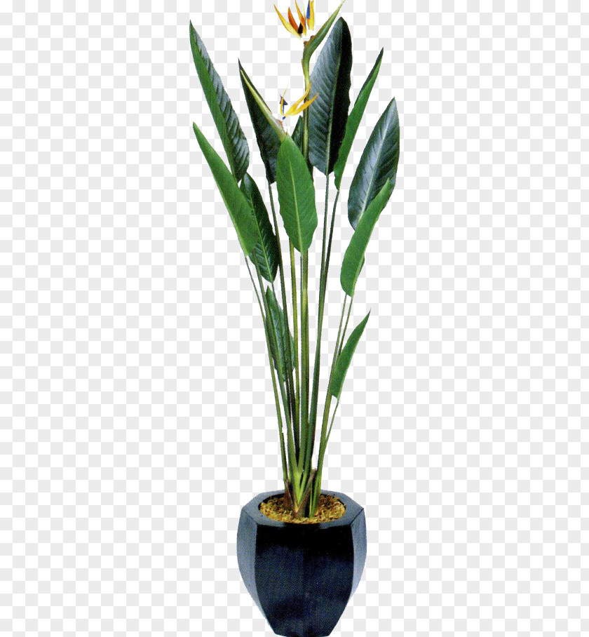 Green Plants Flowerpot Icon PNG