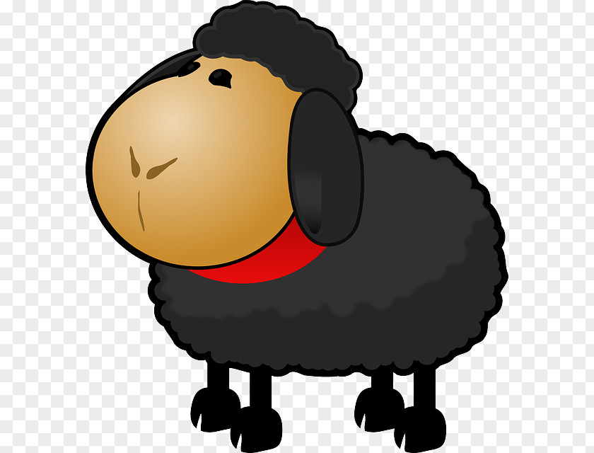 Sheep Wool Clip Art PNG