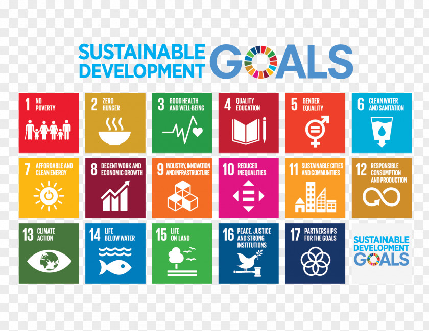 Sustainable Development Goals Millennium Sustainability World PNG