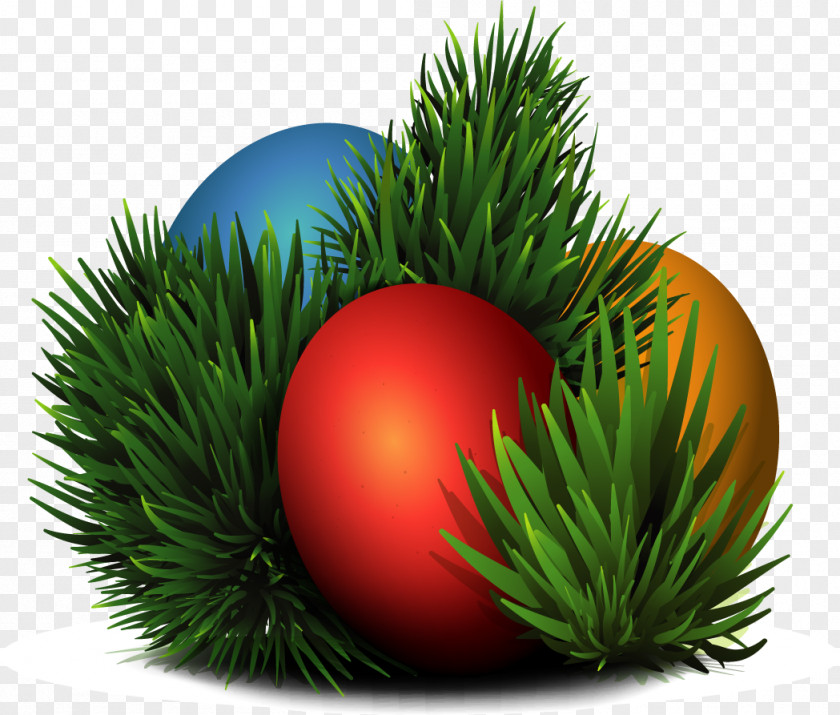 Vector Hand-painted Easter Eggs Egg PNG