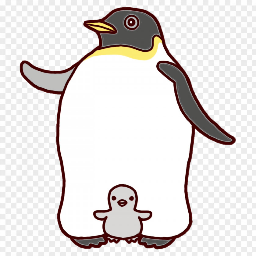 Penguins Beak Area PNG