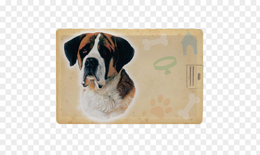 Puppy Dog Breed St. Bernard Labrador Retriever Boxer PNG