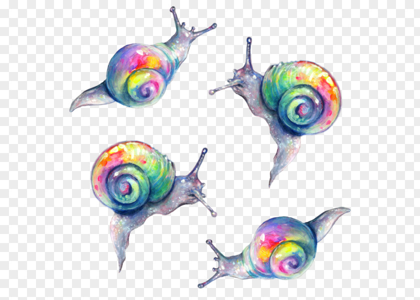 Snail Rainbow Painting Slug Color PNG