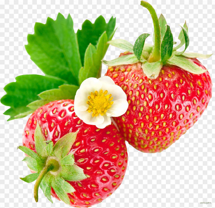 Strawberry Musk Accessory Fruit PNG