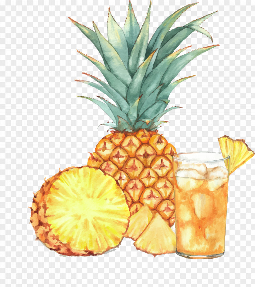 Watercolor Pineapple Juice Cocktail Drawing PNG