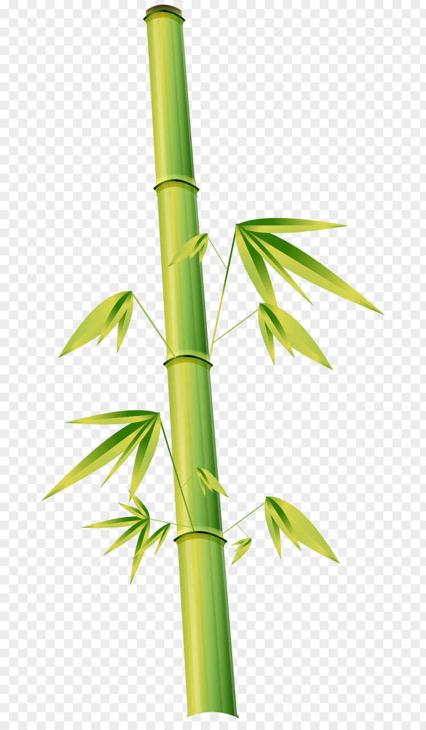 Vector Hand-painted Bamboo Euclidean Cartoon Illustration PNG