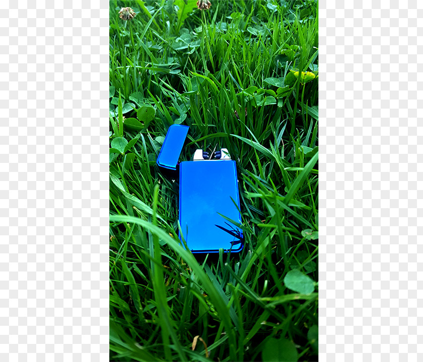 Amman Lawn Meadow Plastic Grasses Family PNG