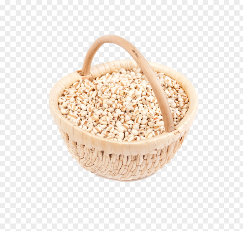 Basket Of Natural Barley Rice Adlay Hops & Icon PNG
