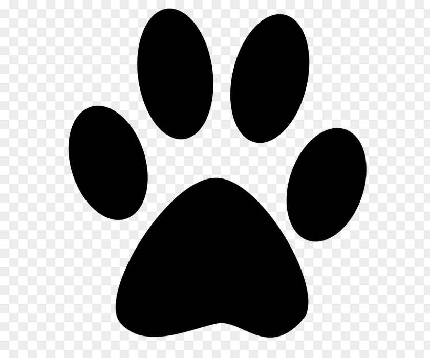 Cat Paw Dog Kitten Puppy PNG