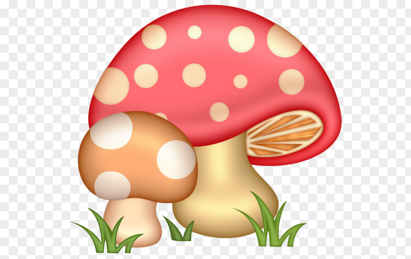 Mushroom Common Clip Art PNG