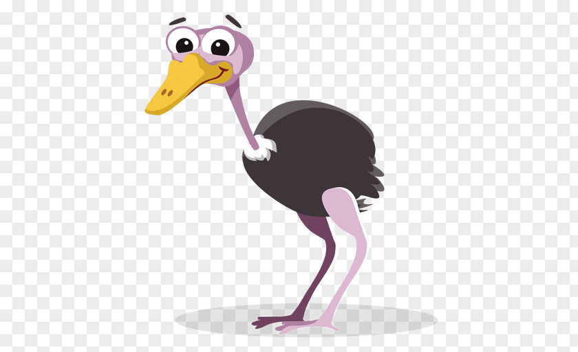 Ostrich Common Cartoon Clip Art PNG