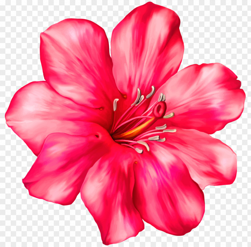 Pink Flower Flowers Tropics Clip Art PNG