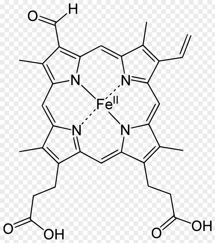 Polychaete Heme Chlorocruorin Porphyrin Hemoglobin PNG