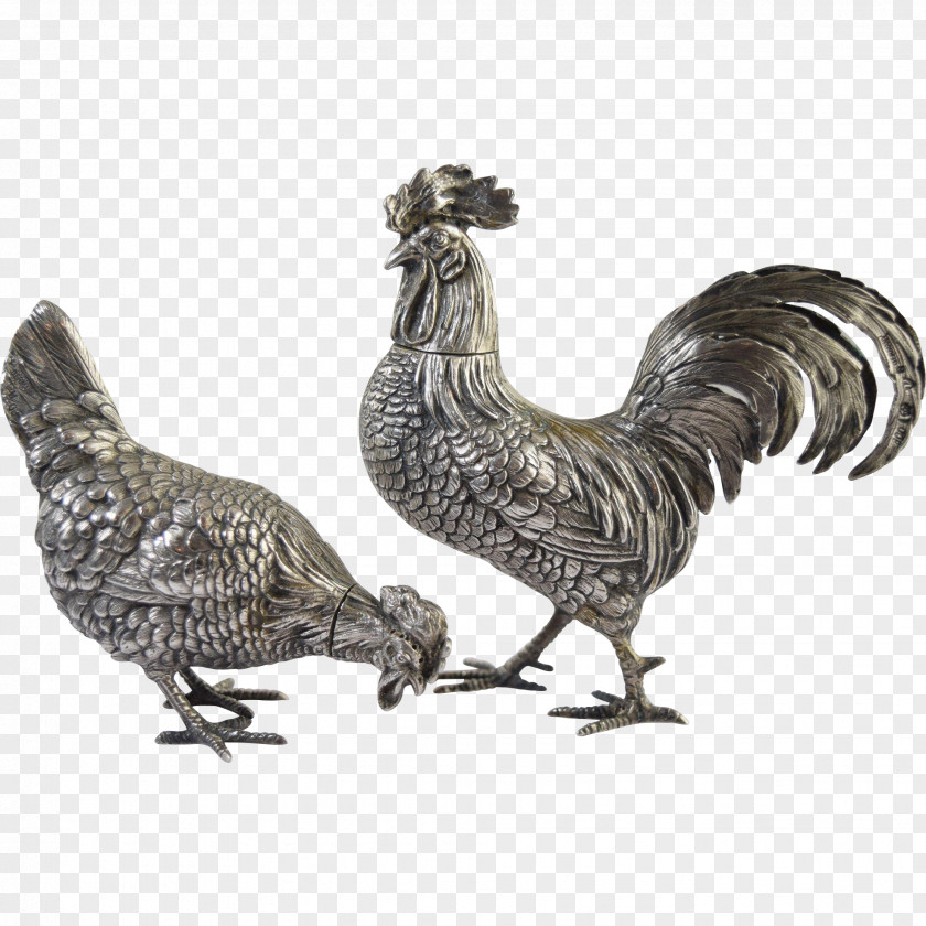 Rooster Leghorn Chicken Legbar Appenzeller Silver PNG