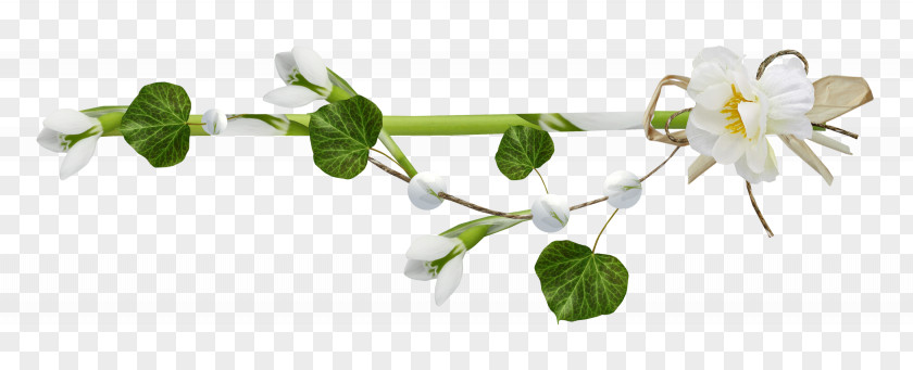 Spring Border PNG