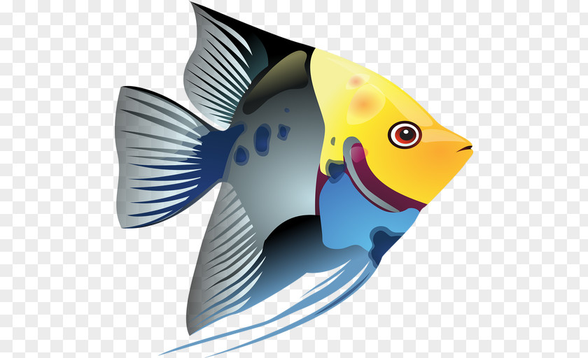 Tropical Fish Clip Art PNG