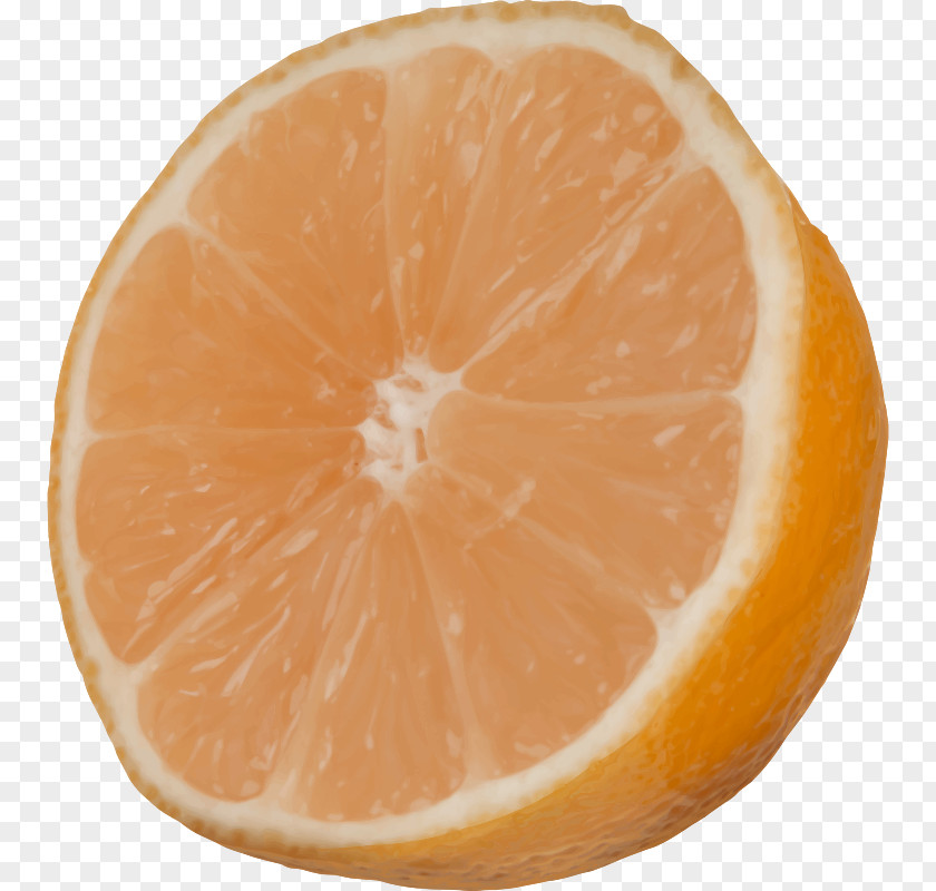 Cut Fruit Grapefruit Mandarin Orange Tangelo Tangerine PNG