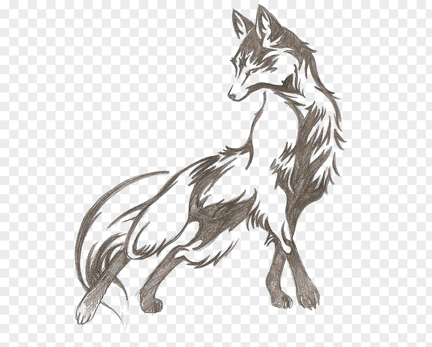 Wolf Tattoo Diego De La Vega Fox Drawing Idea PNG