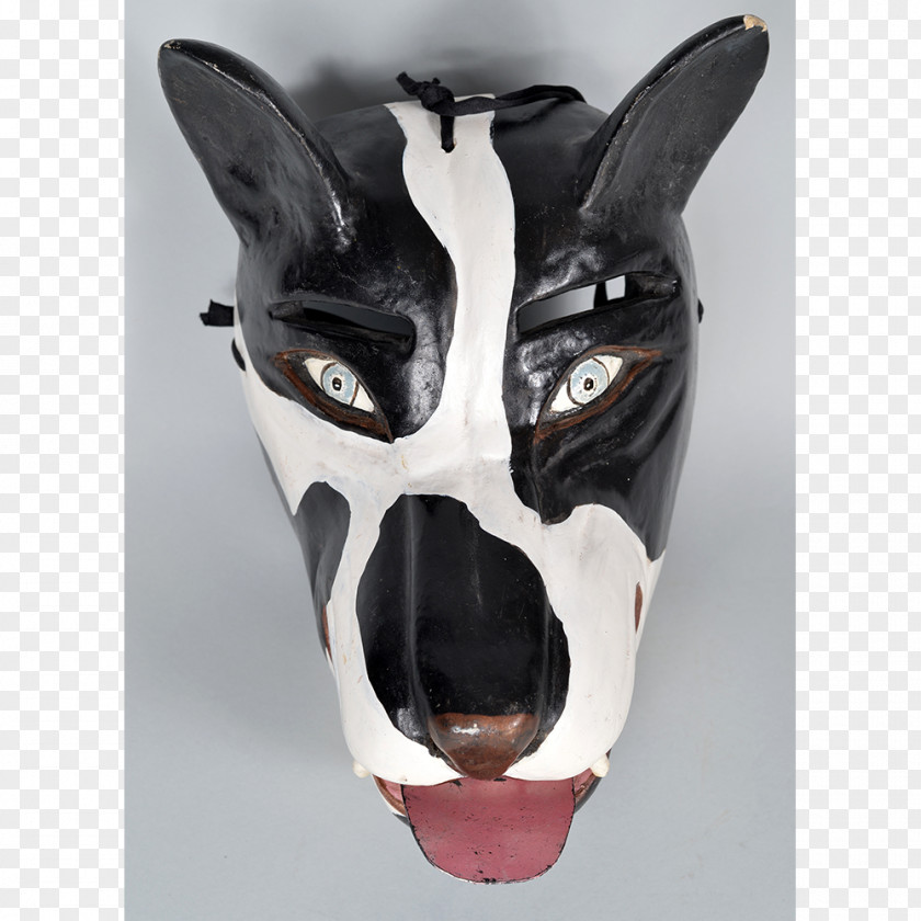 African Mask Wood Horse Snout Mammal PNG