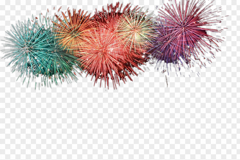 Brilliant Fireworks Download Night Sky Icon PNG