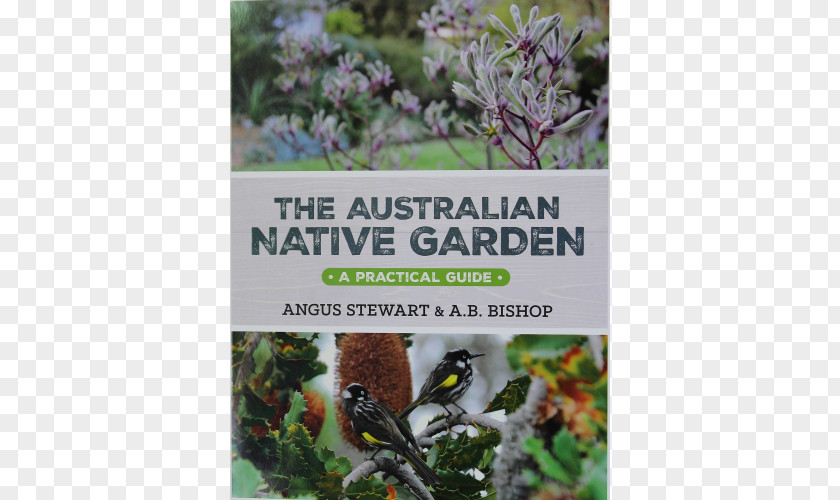 Vegetable Garden Card The Australian Native Garden: A Practical Guide Complete Book Of Vegetables, Herbs And Fruit PNG