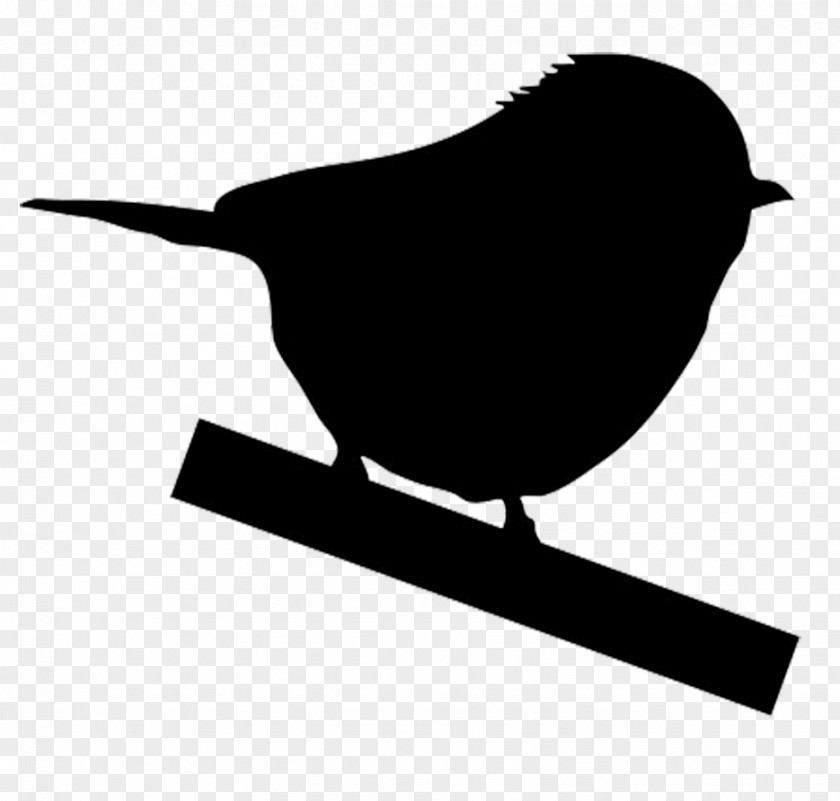 Birds Silhouette Bird American Robin Photography Clip Art PNG