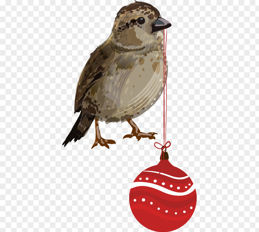 Hand-painted Bird Diao Ball Pattern Santa Claus Paper Christmas Tree PNG