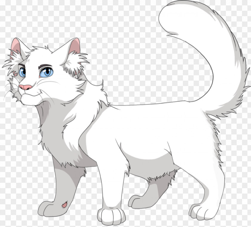 Ore Cats Of The Clans Warriors Cloudtail Book PNG