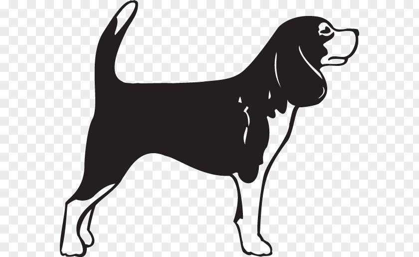 Puppy Beagle German Shorthaired Pointer Bullmastiff English Mastiff PNG