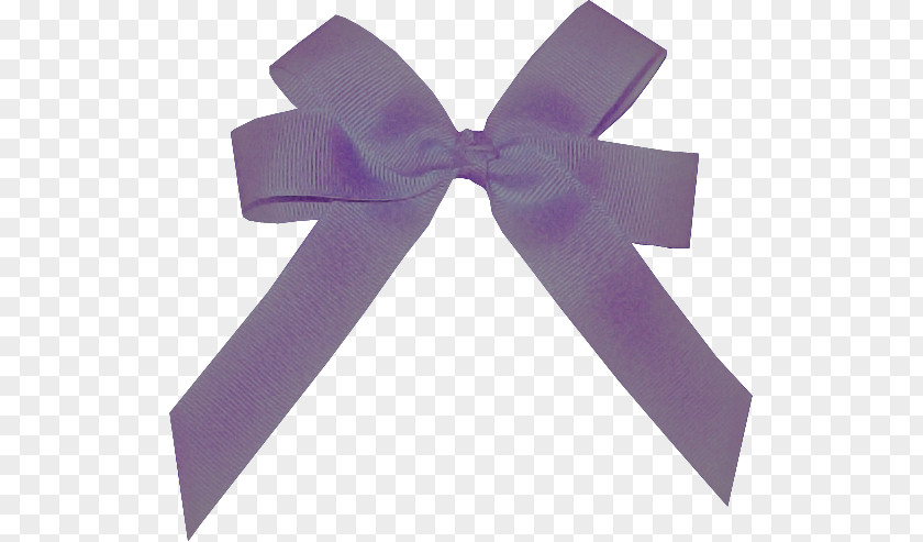 Ribbon Purple PNG