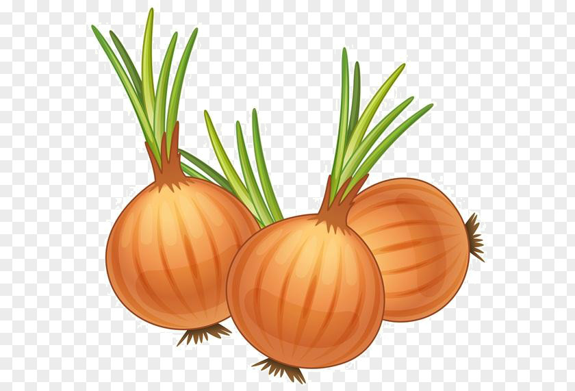 Cartoon Onion Material French Soup Yellow Royalty-free Clip Art PNG