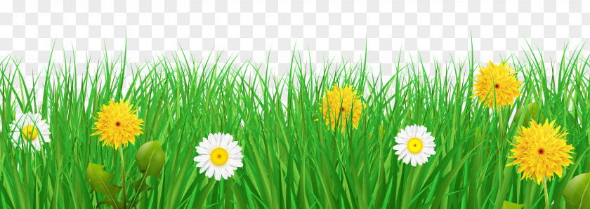 Grass And Flowers Transparent Clip Art Image Flower PNG