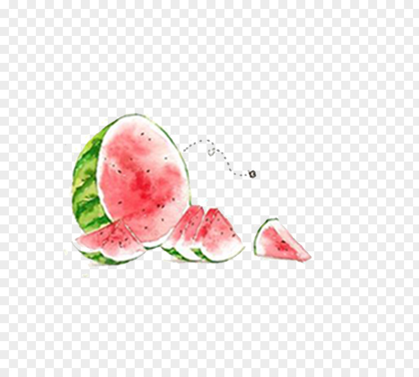 Watermelon,Gouache Watermelon Watercolor Painting Summer Illustration PNG