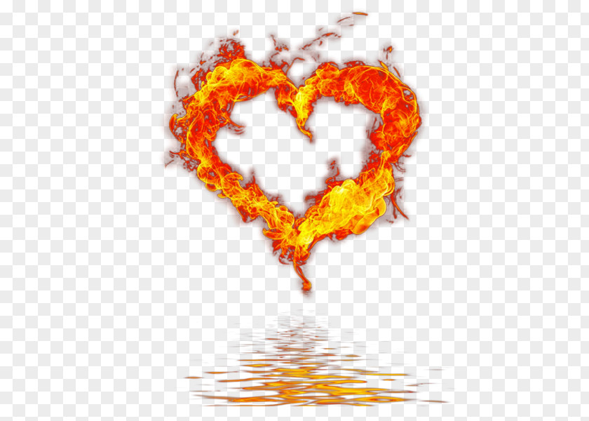 Fire Photography Clip Art PNG
