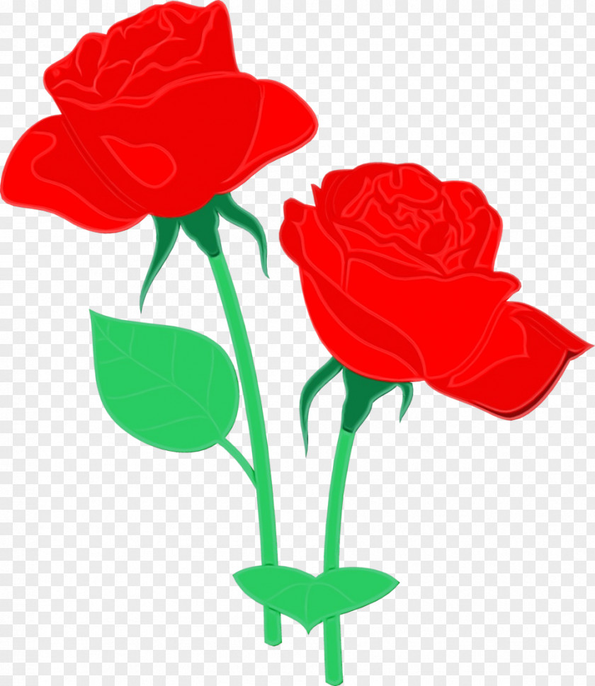 Floribunda Rose Order Blue PNG