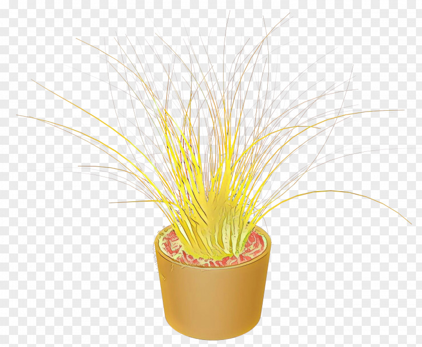 Grasses Flower PNG