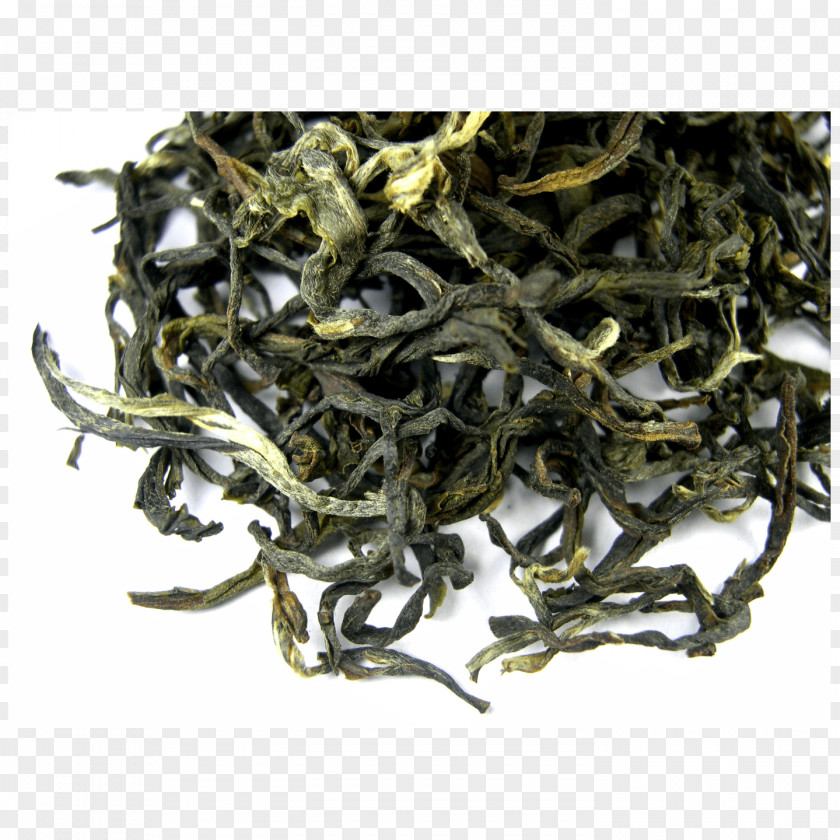 Green Tea Darjeeling White Oolong PNG