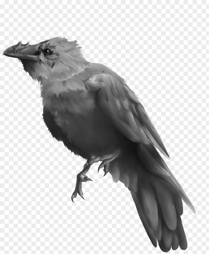 Painting American Crow Common Raven Finches Art PNG