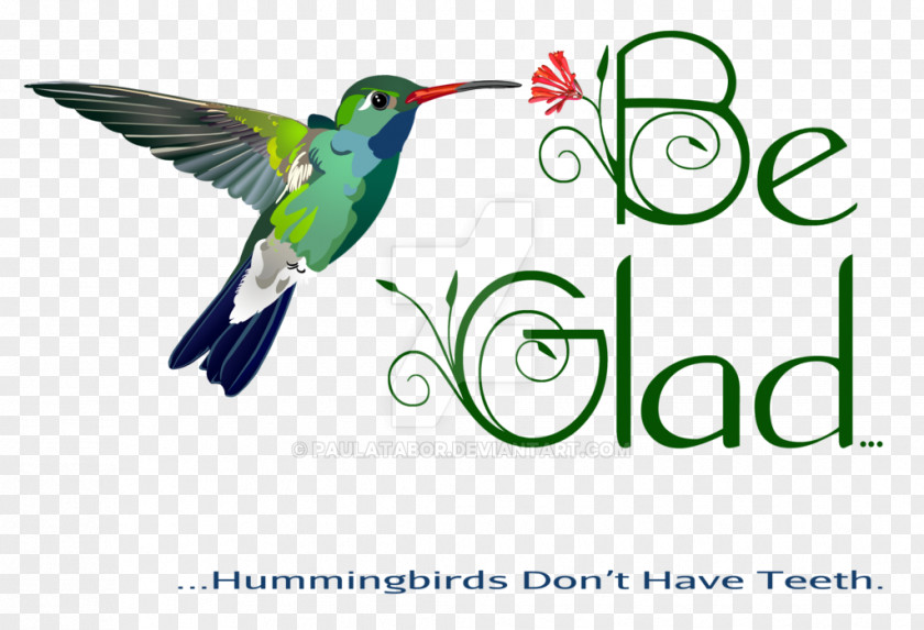 Painting Digital Humour Hummingbird M Cartoon PNG