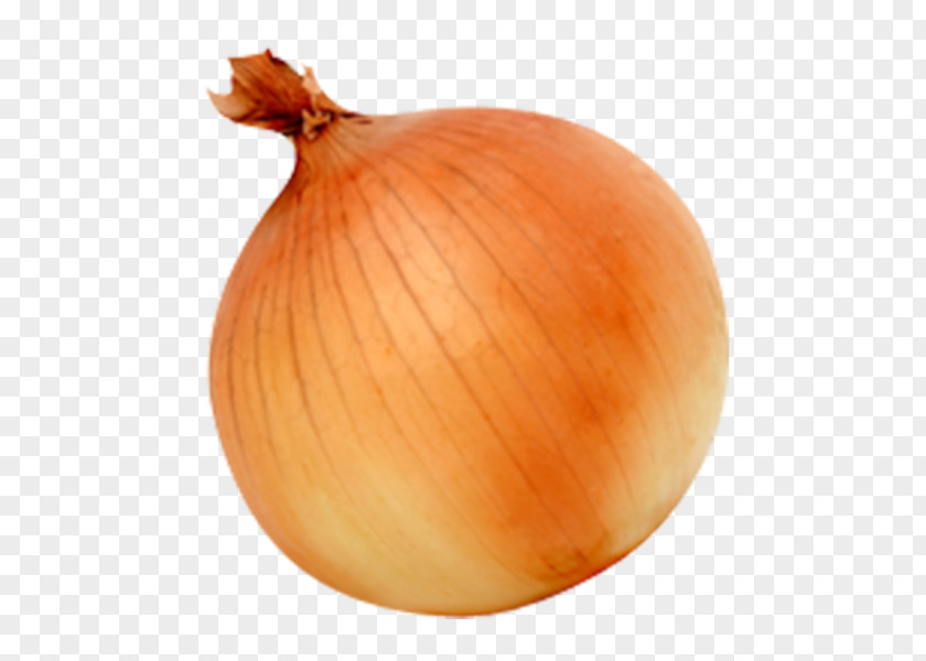 Yellow Onion Red Sweet PNG