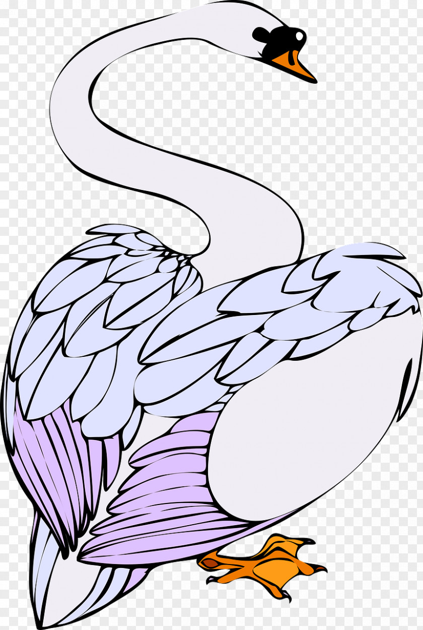 Beautiful Swan Cygnini Clip Art PNG