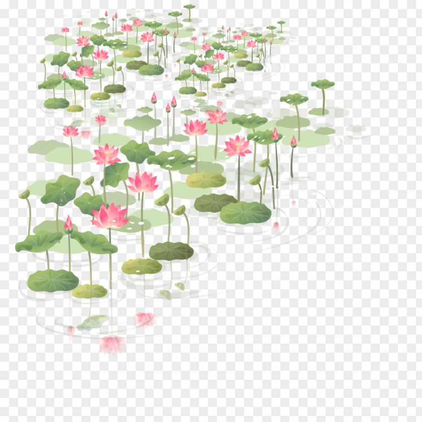 China Wind Hawthorn Flower Euclidean Vector Clip Art PNG