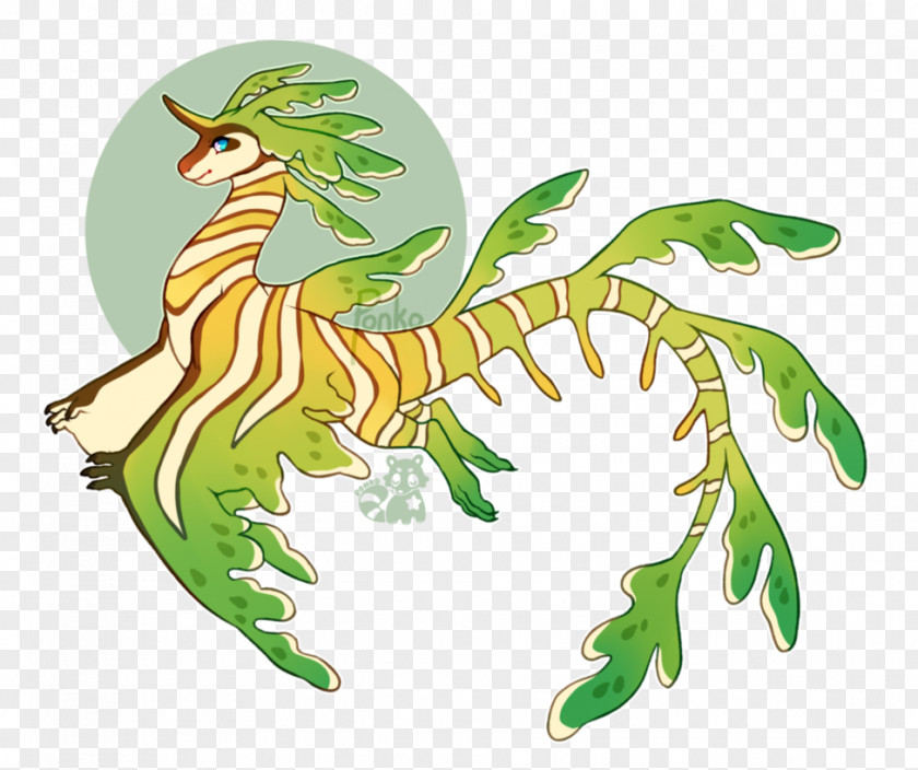 Dragon The Sea Leafy Seadragon Common Syngnathidae PNG