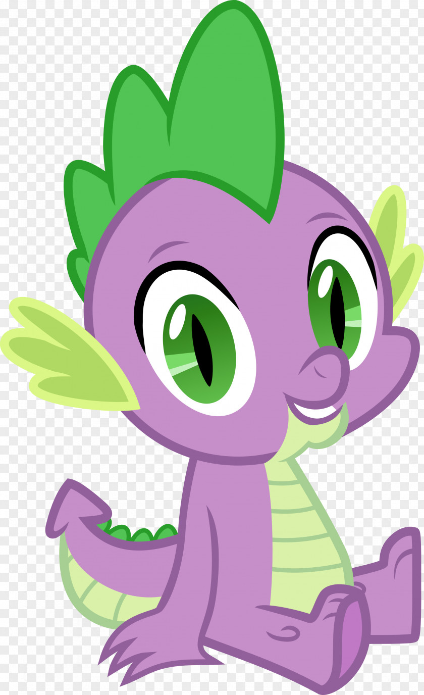 My Little Pony Spike Twilight Sparkle Rarity Rainbow Dash PNG