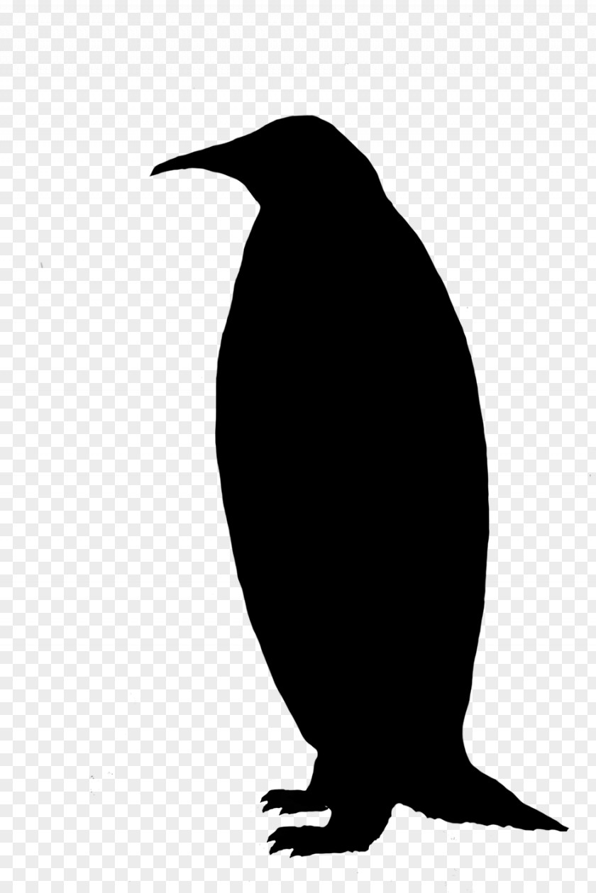 Penguin American Crow Fauna Silhouette Common Raven PNG