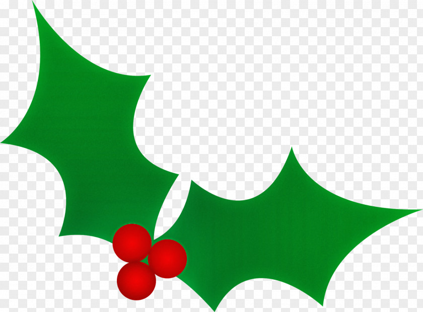 Plant Leaf Holly PNG