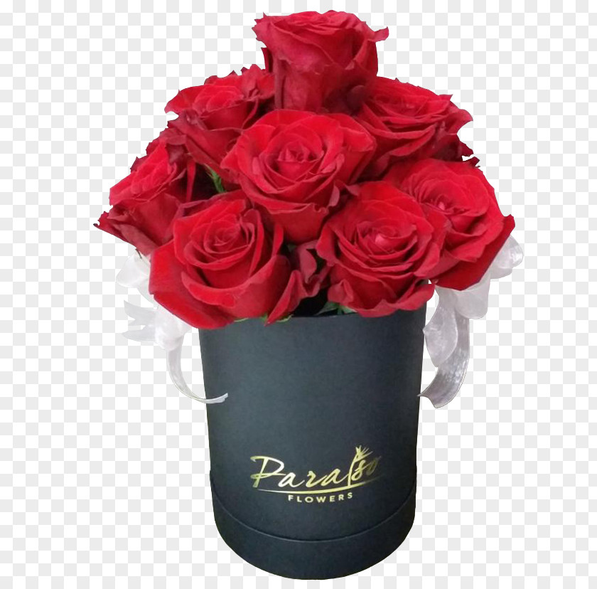 Rose Garden Roses Manila Blooms Cut Flowers Flower Bouquet PNG