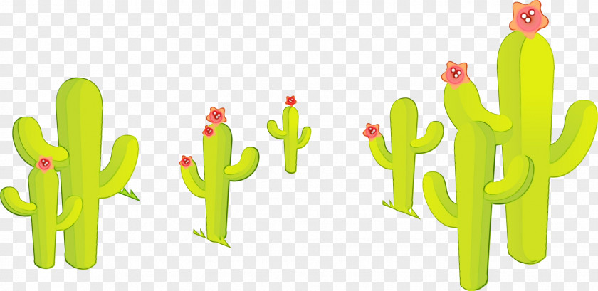 Caryophyllales Gesture Cactus PNG